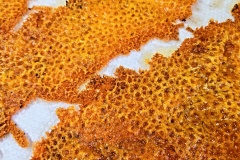 IMG_20240503_110215_554